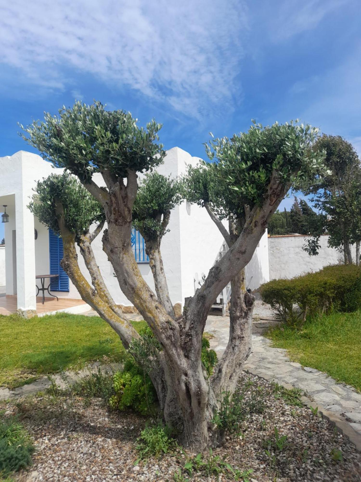 Alojamientos Rurales Inma Conil De La Frontera Exterior photo